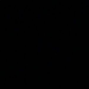 Meet your Posher, Chace